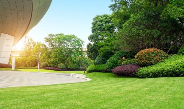 Cost of Commercial Shrub Trimming in Olathe