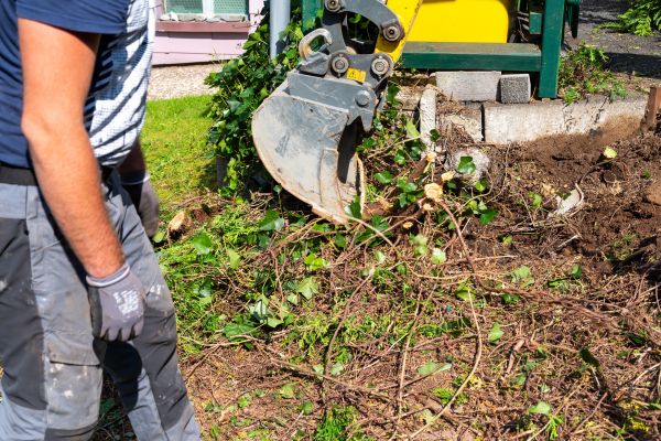 Hedge Removal Service in Olathe
