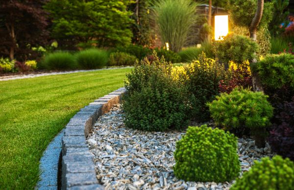Cost of Bush Relocation in Olathe