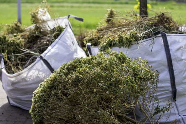 Cost of Shrubs Removal in Olathe